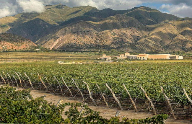 Excursión a Cafayate - Foto 3