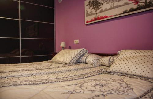 Txanpardin - Foto 10