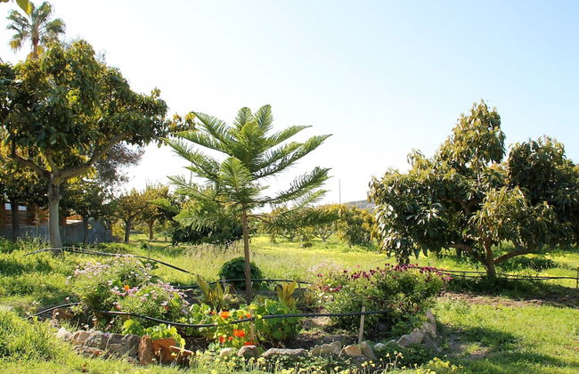 1035 Villa el Crucero - Photo 41