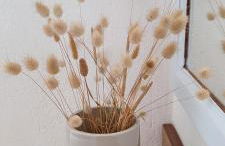 Enalion House - Photo 30