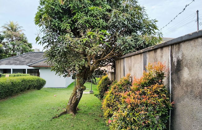 Villa Estria - Photo 69