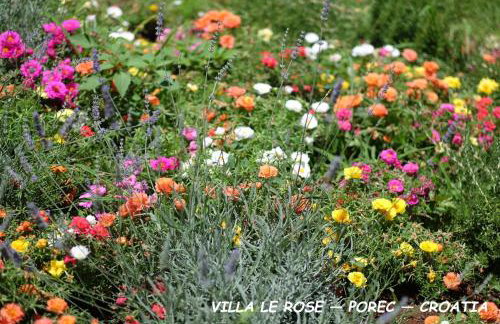 Luxury VILLA LE ROSE - Photo 43