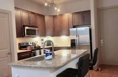 Belle Maison near Medical Center NRG Stadium - Photo 10