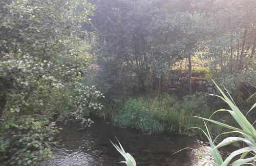 Moinho das Cavadas - Foto 4