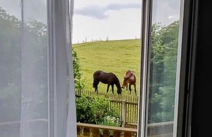 Nähe Plohn Park - FEWO mit Spielzimmer und Balkon sowie Doppelzimmer mit eigenem Bad - Foto 20
