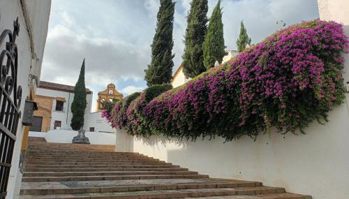 Suites Casa San Mateo - Foto 3