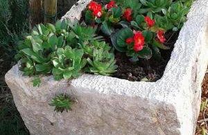 Apartmani Tijano - Photo 6