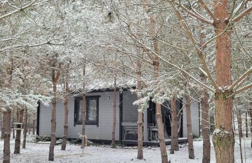 Sosnowy Raj domki nad rzeką Wkrą - Foto 12