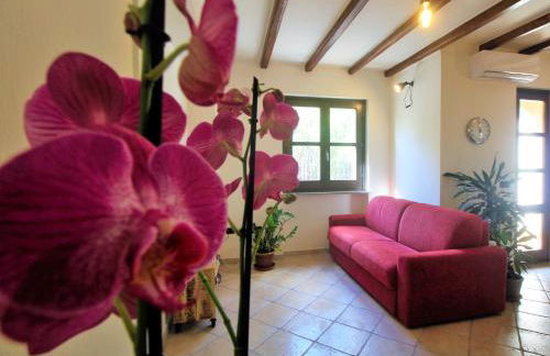 Fenile Apartments - Foto 42