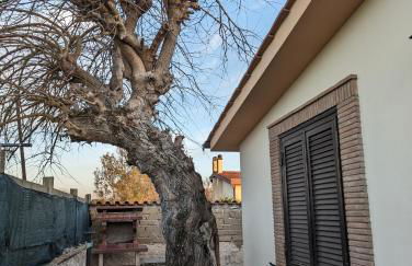 La Villetta del Gelso bianco - Foto 37