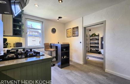 Apartments am Saalebogen mit Gartenterrasse, Grillkamin und freie Parkplätze - Foto 56