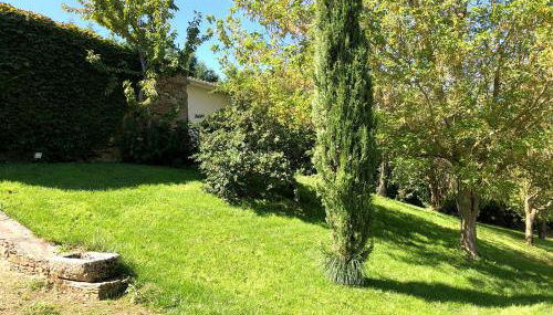 Casa do Galo / Galo House - Foto 2, Garden view