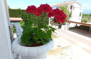 Apartments Dora and Tonka Krk - Foto 17