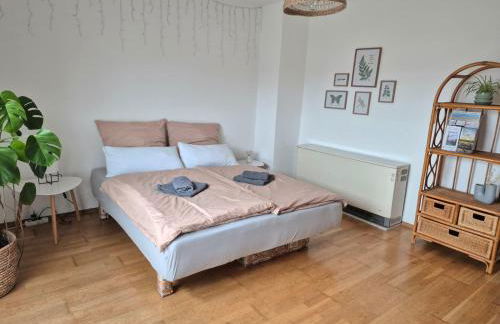 Ferienwohnung Grünoase mit Sonnenbalkon - Foto 18