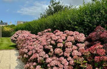 Ty Loho - Grande maison à Landéda - Foto 21