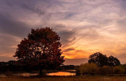 Villa Kunterbunt: Urgemütlich und fast perfekt - Foto 31