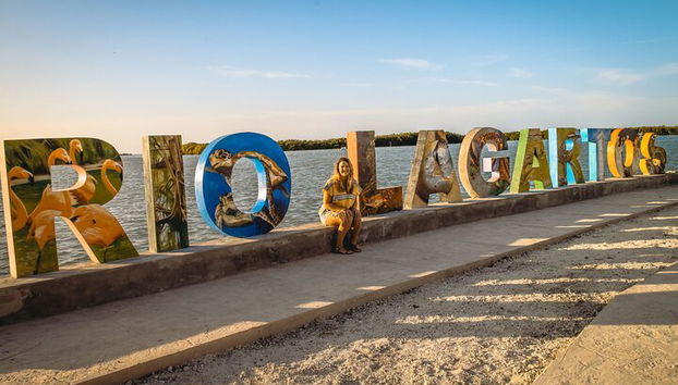 Private Las Coloradas und Ria Lagartos Tour - Foto 3