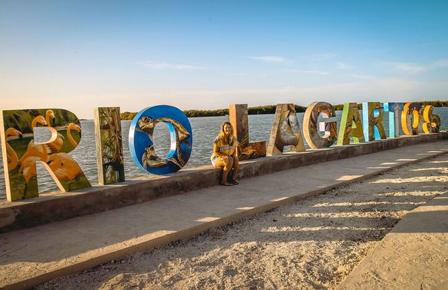 Private Las Coloradas und Ria Lagartos Tour - Foto 3