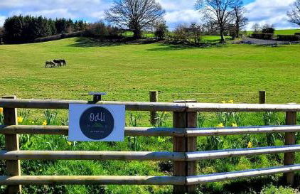 Odli Glamping - Aderyn - Photo 13