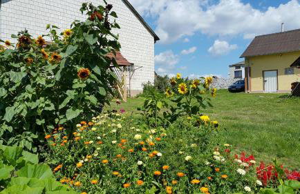 Zielone Zacisze Zwola - Foto 62