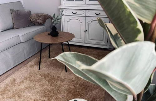 Kuscheliges Apartment am Limes - Foto 9