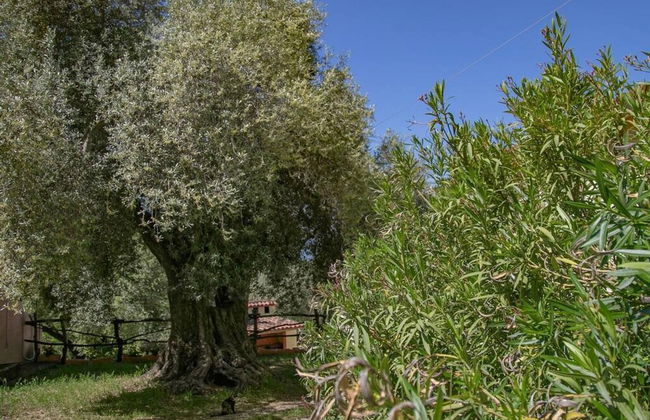 Welcomely - Country House Muristene- Iris - Foto 11