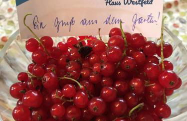 Haus Westfeld - Foto 62