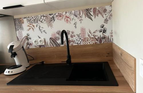 L'arbre de soie Futuroscope Albizia - Foto 31