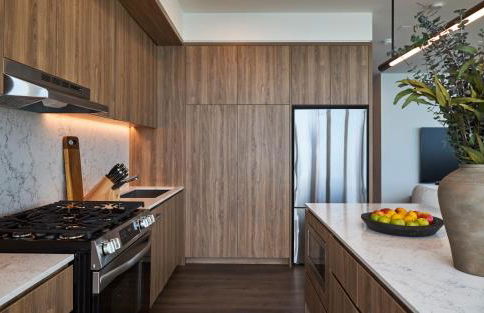 Lux Apts with Lake Views and Top Amenities - Foto 79