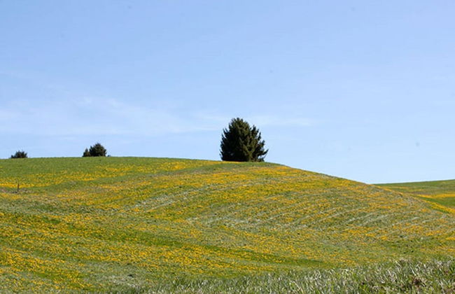 Chalet in Asiago With Alpine Charm - Foto 37