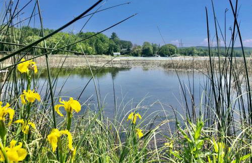 Marcia Lee Lake House - Foto 13