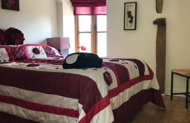 Peacock Cottage, Coity Bach - Foto 21