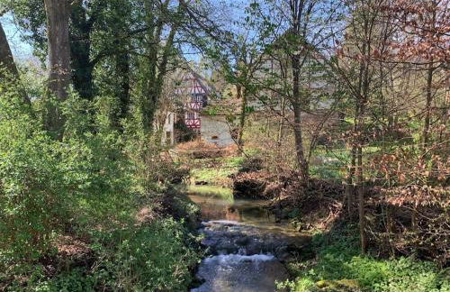 Ferienwohnung in historischer Mühle - Foto 27