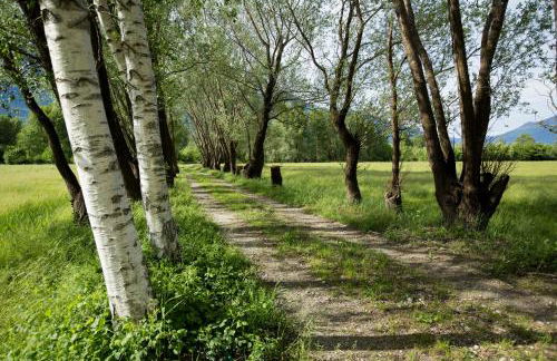 Cascina Borgofrancone - Foto 55