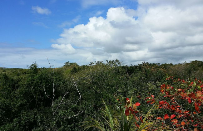 Three Bedroom Apartment by Dakz - Photo 7