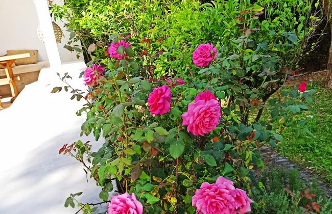 Beach Villa Next To The Waves - Foto 21