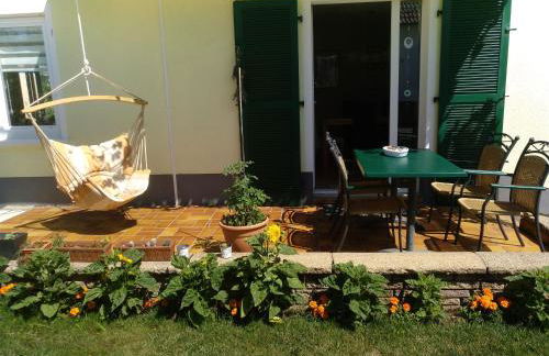 Kakteengarten - Foto 10