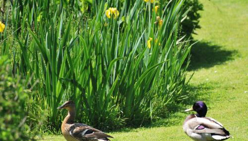 Lakeview Cottage - Photo 5