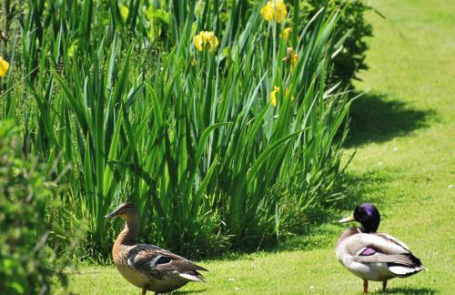 Lakeview Cottage - Photo 5