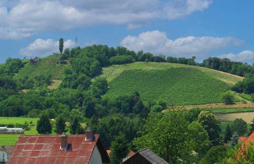 Franc Holiday House With a Spacious Terrace, Hot Tub And Sauna - Foto 52