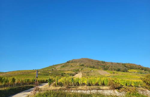 Gites Les Cépages - Foto 30