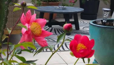 Le toit chic à 15 mn Paris Centre - Foto 3