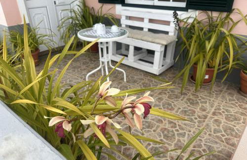 Casa Mary Bela's - Foto 24