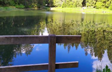 Ferienwohnung GABI - Foto 31