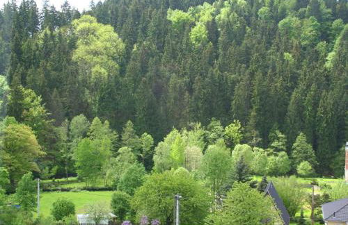 Villa in Borstendorf Nahe Erzgebirge - Foto 31