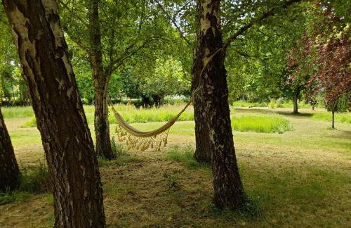 Couleur Jardin - Foto 7