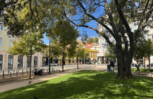 Studios with Mezzanine Rua da Moeda - Foto 136