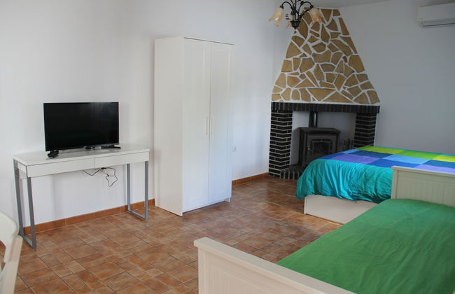 Studio Tropical - Foto 6