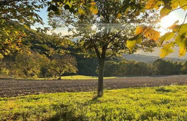 Cottage Sainte Marguerite - Foto 18