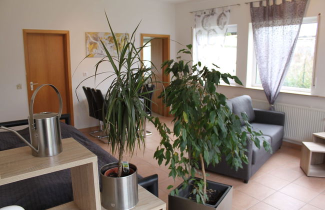 Stollis FeWo - Foto 12